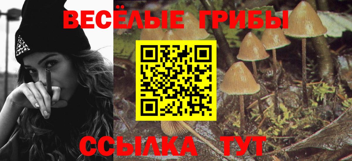 Псилоцибиновые грибы прущие грибы Кубинка