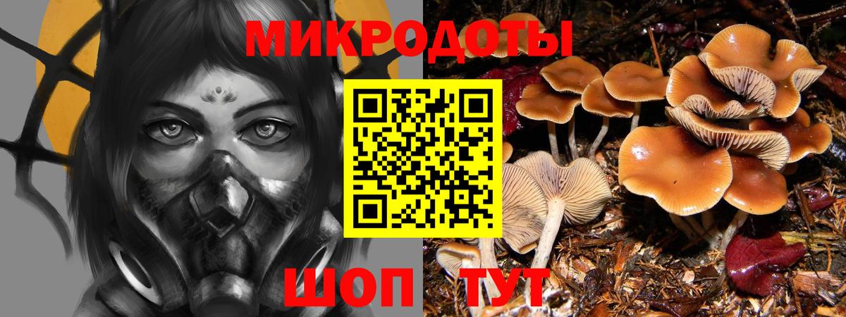 Кубинка  Псилоцибиновые грибы MAGIC MUSHROOMS  Вход с VPN 